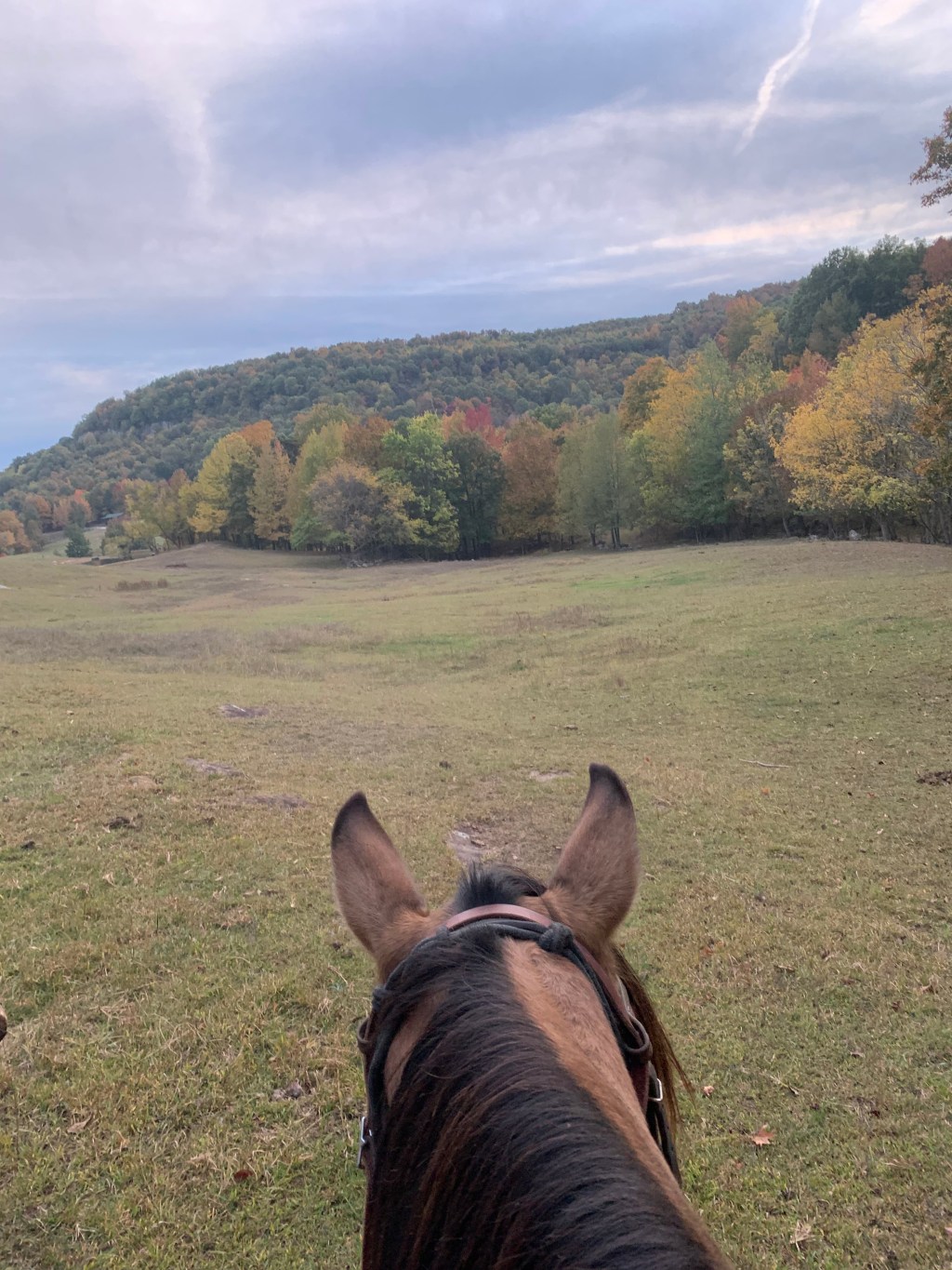 Saddle Up For Adventure: A Retreat to Horseshoe Canyon&nbsp;Ranch